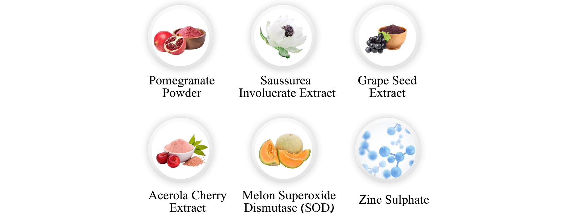 Product Introduction 1