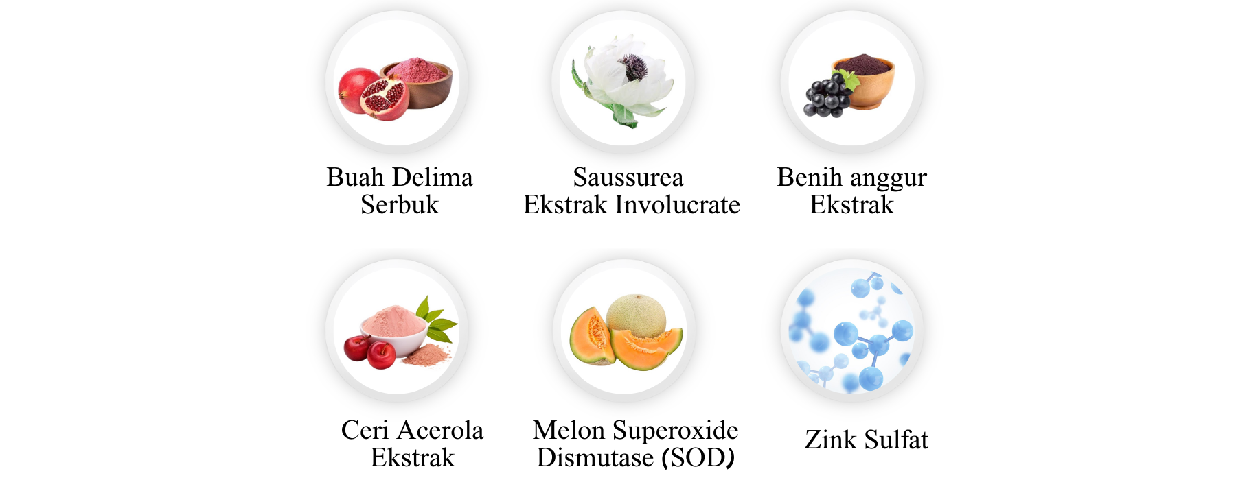 Product Introduction 1