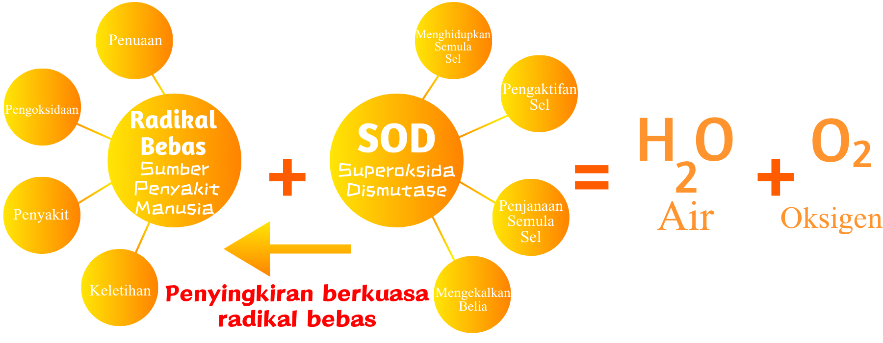 Product Introduction 2