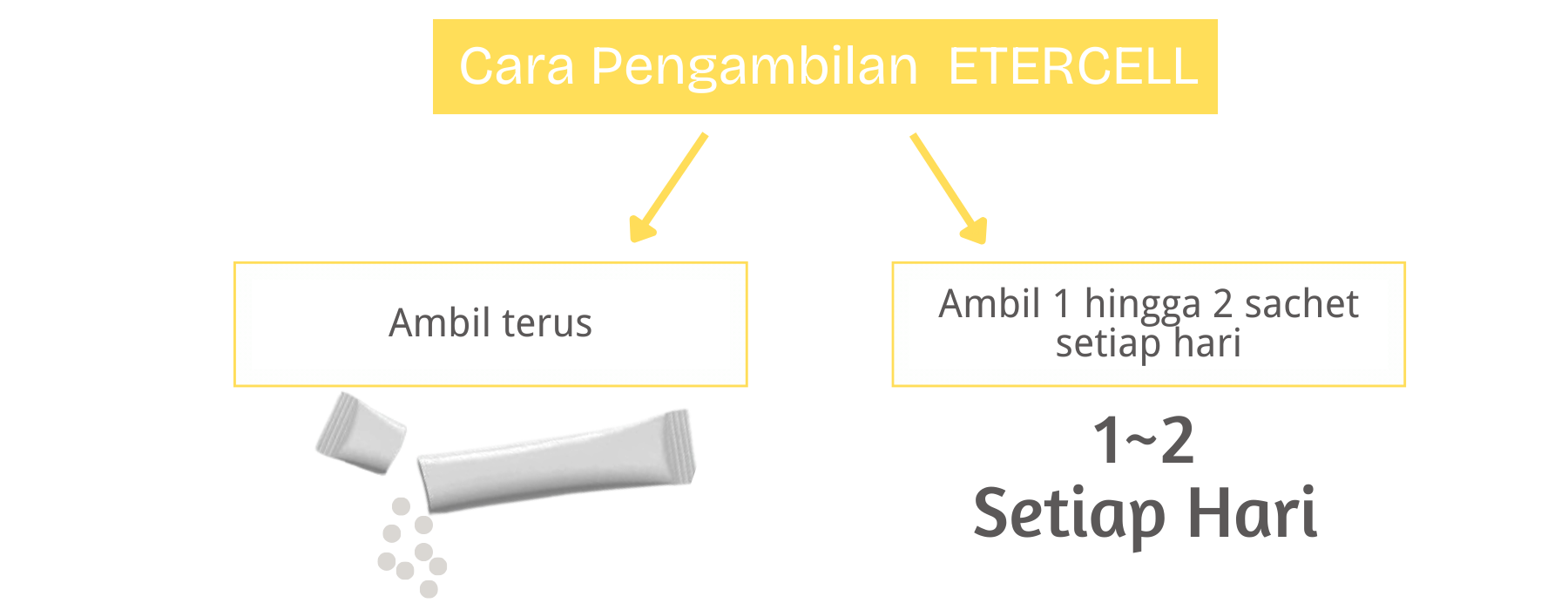 Product Introduction 3